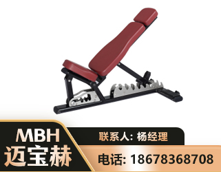 青岛可调哑铃椅